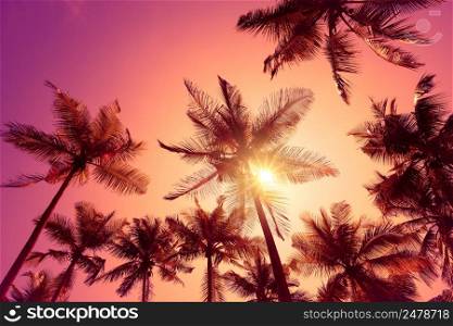 Bright vivid pink tropical sunset with shining sun