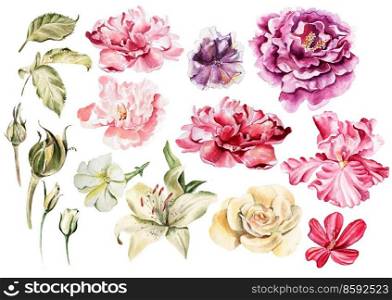 Bright watercolor peony flowers, iris, lilies, petunias, roses. Illustration. Bright watercolor peony flowers, iris, lilies, petunias, roses. 