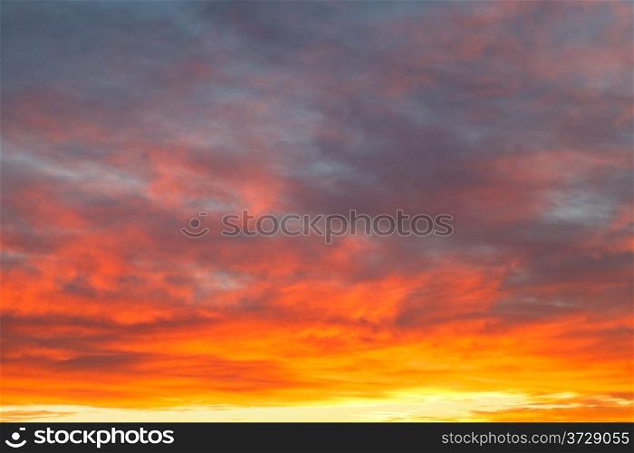 bright yellow clouds under blue sky in early sunrise in autumn