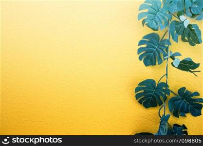 Bright yellow painted wall framed with green tropical palm leaves, sunlight with shadows patterns, summer background. retro design space for text. Bright yellow painted wall framed with green tropical palm leaves, sunlight with shadows patterns, summer background. retro design