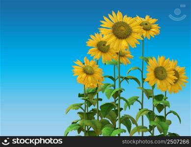Bright yellow sunflowers over blue background, 3D Illustration.