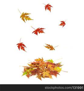 Brightly colored falling leaves isolated on white background