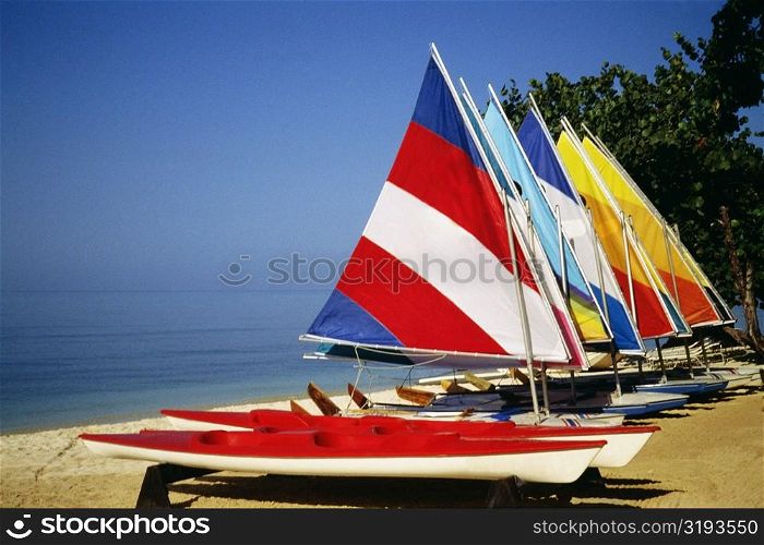 Brightly colored sails on windsurf boards at Hedonism Resort, Jamaica