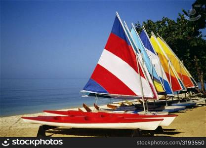 Brightly colored sails on windsurf boards at Hedonism Resort, Jamaica