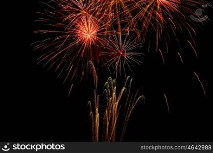 brightly colorful fireworks. Colorful fireworks on the black sky background