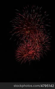 brightly colorful fireworks. Colorful fireworks on the black sky background