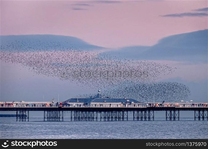 BRIGHTON, EAST SUSSEX/UK - JANUARY 26 : Starlings over the Pier in Brighton East Sussex on January 26, 2018