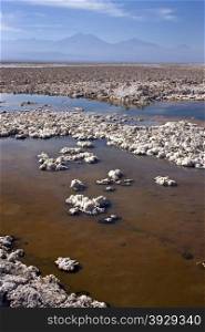 Brine pools on Chaxa Lagoon in the Atacama Salt Flats of the Atacama Desert in northern Chile.