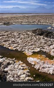 Brine pools on the Atacama Salt Flats in the Atacama Desert in northern Chile