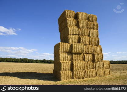 Briquettes of dry hay in a field in the north of France