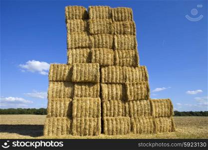 Briquettes of dry hay in a field in the north of France