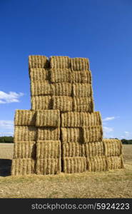 Briquettes of dry hay in a field in the north of France