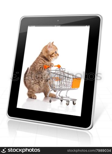 british cat with shopping cart isolated on white. kitten osolated