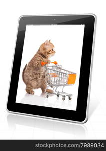 british cat with shopping cart isolated on white. kitten osolated