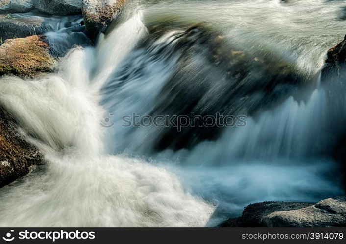 broad river flowing through wooded forest