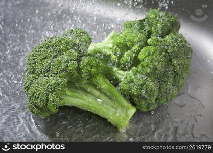 Broccoli