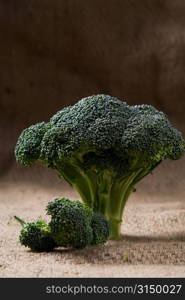 Broccoli