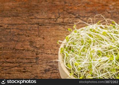 broccoli and clover sprouts in a wooden bowl against rustic scratched wood with a copy space