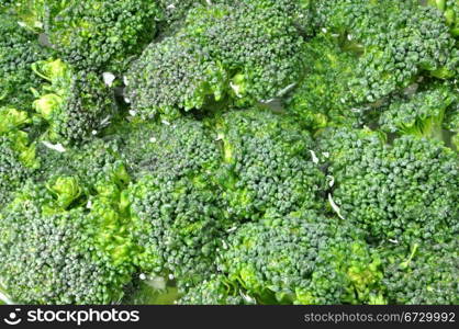 Broccoli background