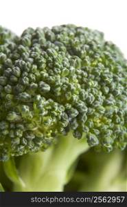 Broccoli Floret