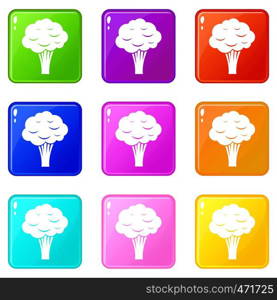 Broccoli icons of 9 color set isolated vector illustration. Broccoli icons 9 set