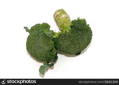 Broccoli isolated on a white background