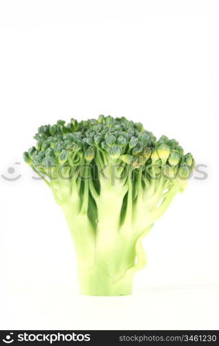 broccoli isolated on white background