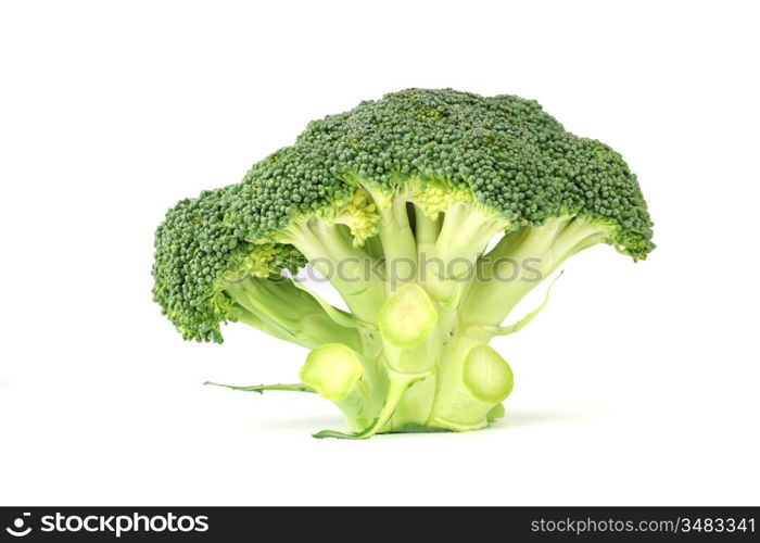 broccoli isolated on white background