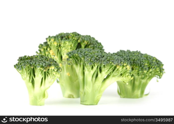 broccoli isolated on white background