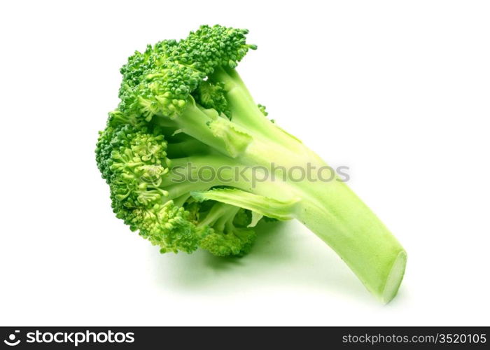 broccoli isolated on white background