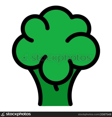 Broccoli nutrition icon. Outline broccoli nutrition vector icon color flat isolated. Broccoli nutrition icon color outline vector