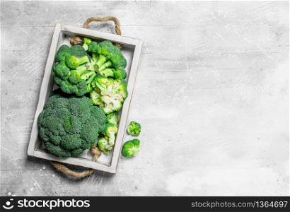 Broccoli on tray. On rustic background. Broccoli on tray.