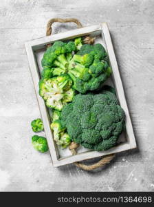 Broccoli on tray. On rustic background. Broccoli on tray.