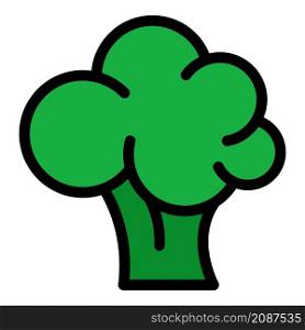 Broccoli vegetable icon. Outline broccoli vegetable vector icon color flat isolated. Broccoli vegetable icon color outline vector