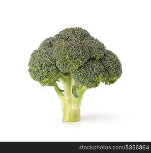 Broccoli vegetable isolated on white background