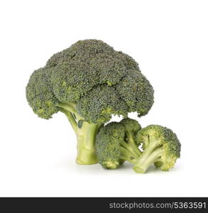 Broccoli vegetable isolated on white background