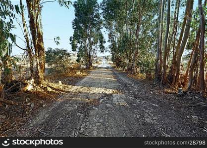 Broken Country Dirt Road in Portugal