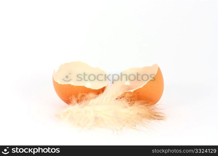Broken egg shell with feather on white background