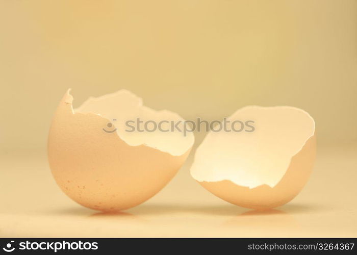 Broken eggshell
