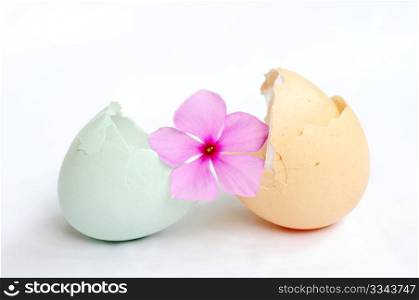Broken empty eggshells on a white background