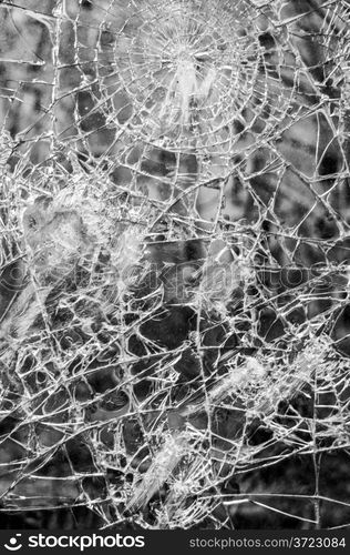 Broken glass. closeup of a window shattered in many pieces