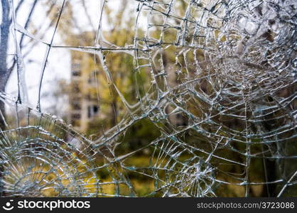 Broken glass. closeup of a window shattered in many pieces