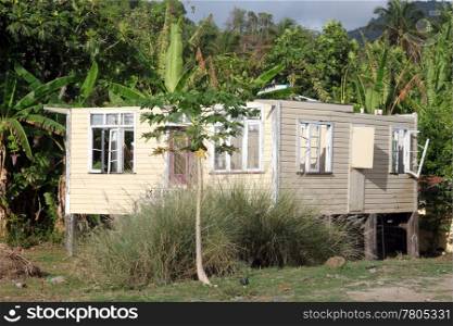 Broken house under the palm tree in Grenada
