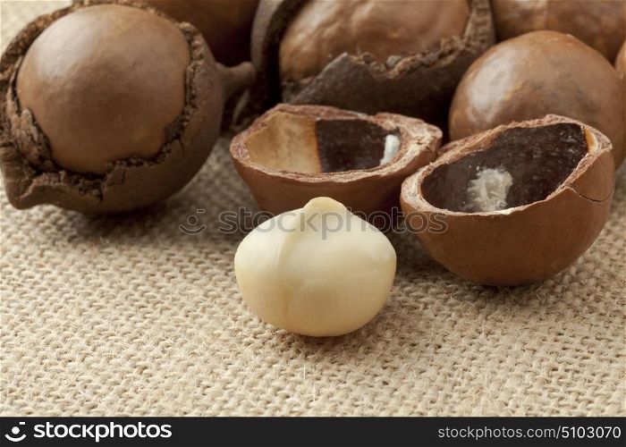 Broken macadamia nuts in nutshells