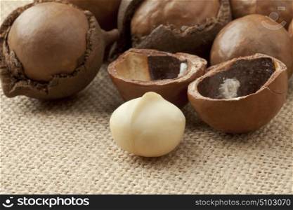 Broken macadamia nuts in nutshells
