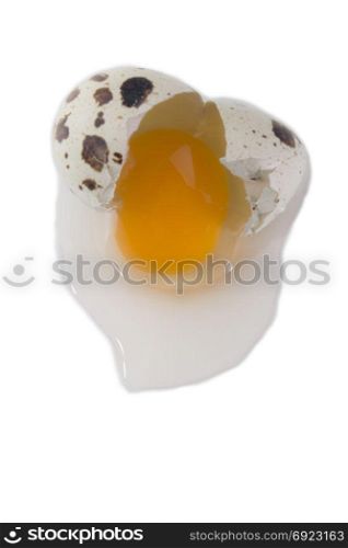 broken one quail egg, isolated on white background