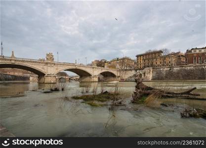 Broken plants in the Tiber river in Rome