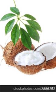 broken ripe coconut and leaves on white