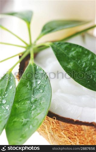 broken ripe coconut and leaves on white close up