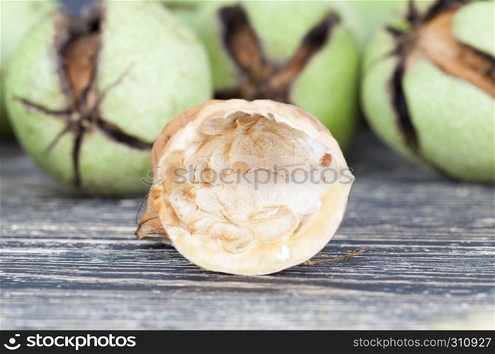 broken ripe walnuts in early autumn or late summer, lie on a wooden floor after receiving the harvest.. broken ripe walnuts